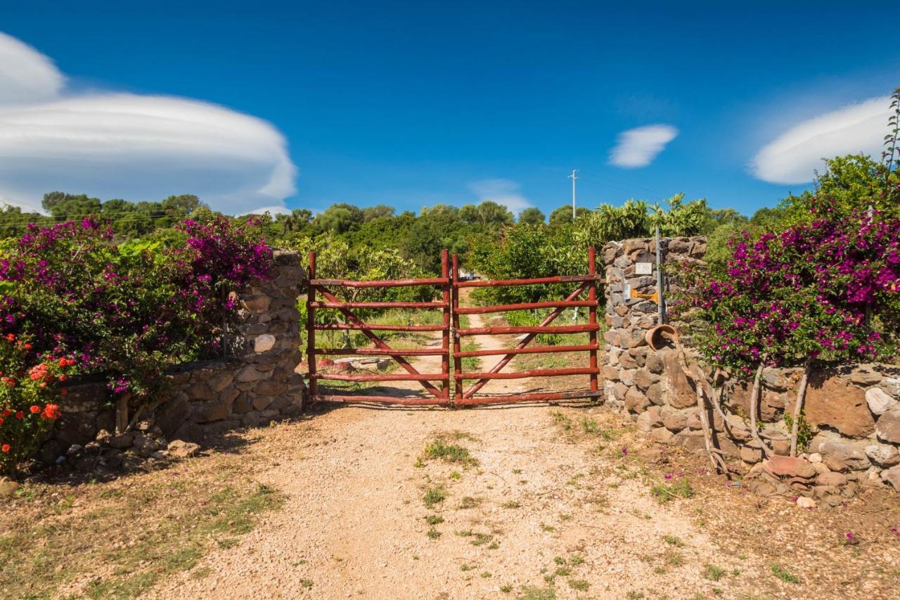 Sa Tanca 'E Pedduzza Vila Orosei Exterior foto