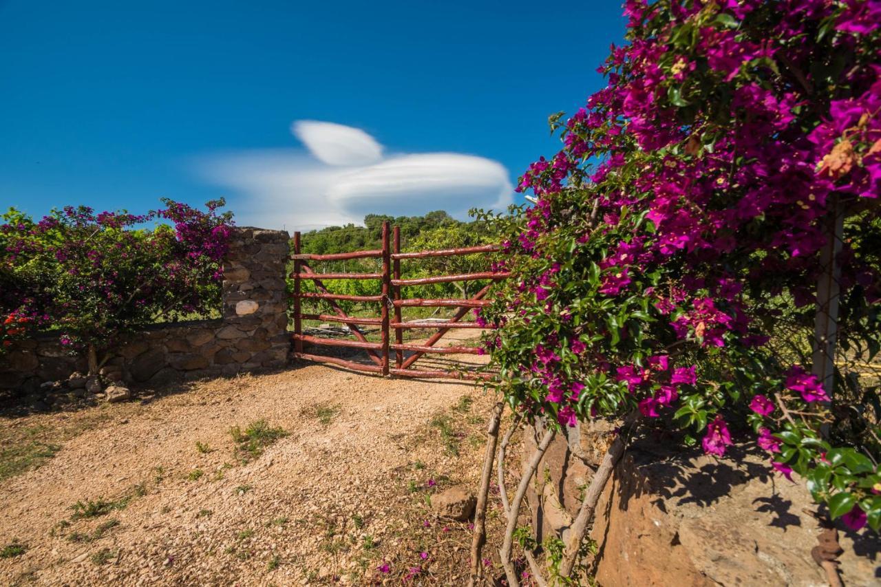 Sa Tanca 'E Pedduzza Vila Orosei Exterior foto