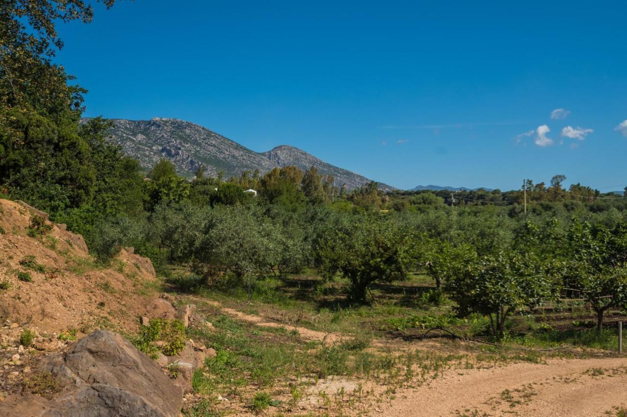 Sa Tanca 'E Pedduzza Vila Orosei Exterior foto